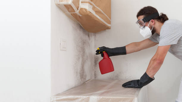 Professional Crawl Space Mold Removal technician working in Winnetka, IL
