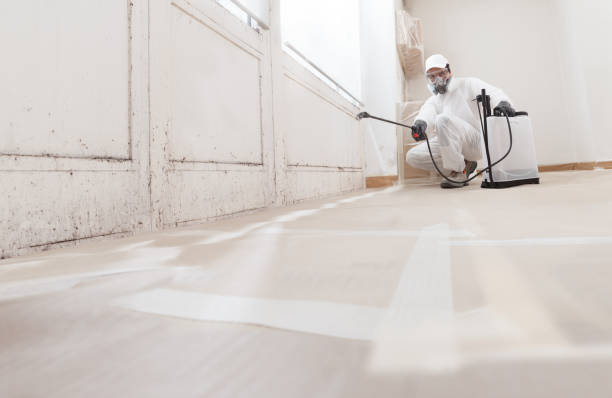 24/7 Emergency Crawl Space Mold Removal experts in Winnetka, IL